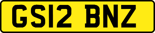 GS12BNZ