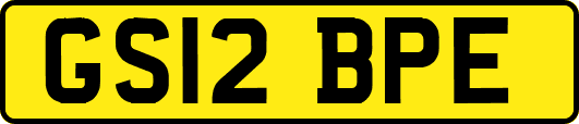 GS12BPE