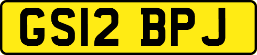GS12BPJ