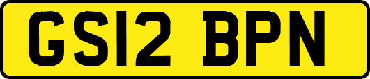 GS12BPN