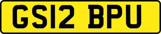 GS12BPU