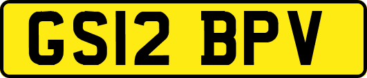 GS12BPV