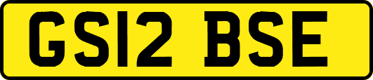 GS12BSE