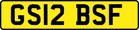GS12BSF