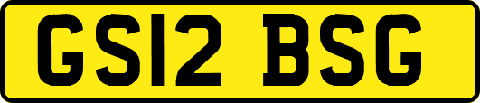 GS12BSG