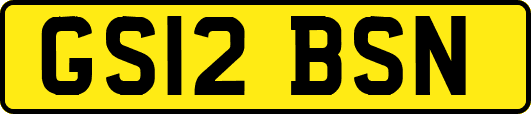 GS12BSN