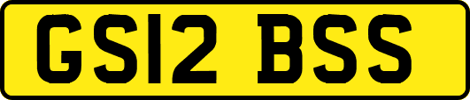 GS12BSS
