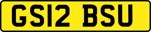 GS12BSU
