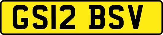 GS12BSV