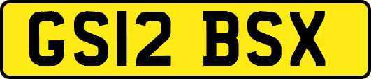 GS12BSX