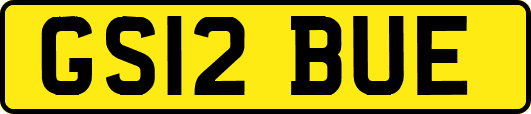 GS12BUE