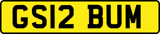 GS12BUM