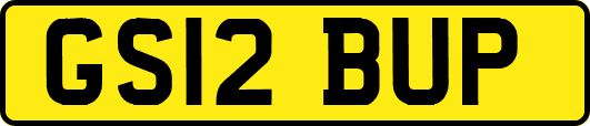 GS12BUP