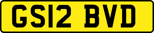 GS12BVD