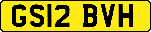 GS12BVH