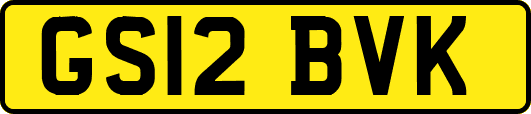 GS12BVK