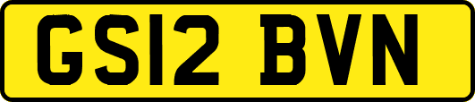 GS12BVN