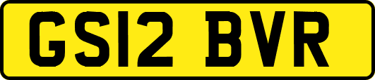 GS12BVR