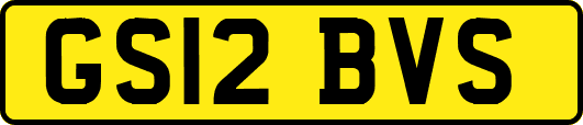GS12BVS
