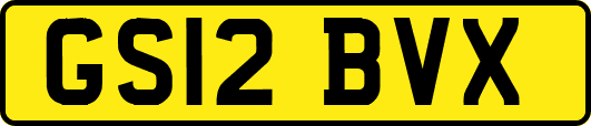 GS12BVX