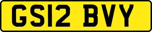 GS12BVY