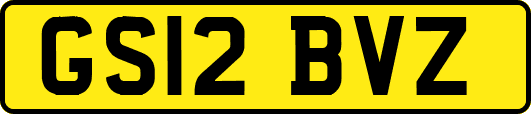 GS12BVZ
