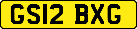 GS12BXG