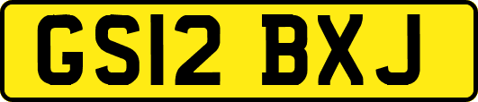 GS12BXJ