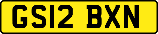 GS12BXN
