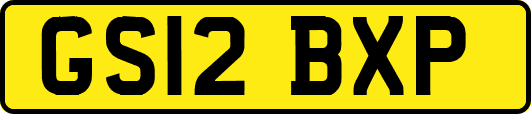 GS12BXP