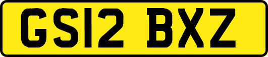 GS12BXZ