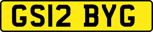 GS12BYG