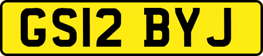 GS12BYJ