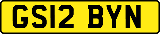 GS12BYN