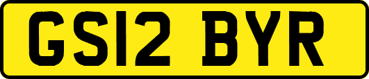 GS12BYR
