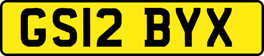 GS12BYX