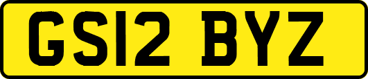 GS12BYZ