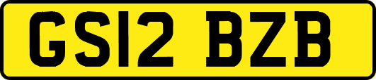 GS12BZB