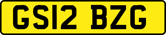GS12BZG