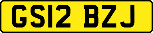 GS12BZJ