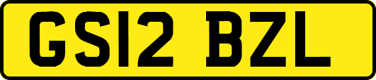 GS12BZL