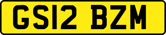 GS12BZM