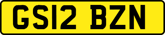 GS12BZN