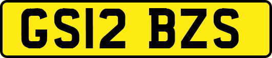 GS12BZS