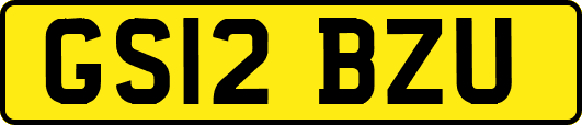 GS12BZU