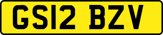 GS12BZV