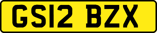 GS12BZX