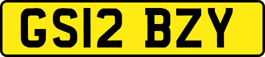 GS12BZY