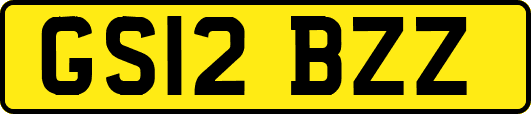 GS12BZZ
