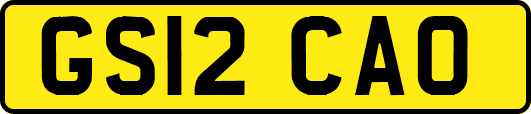 GS12CAO
